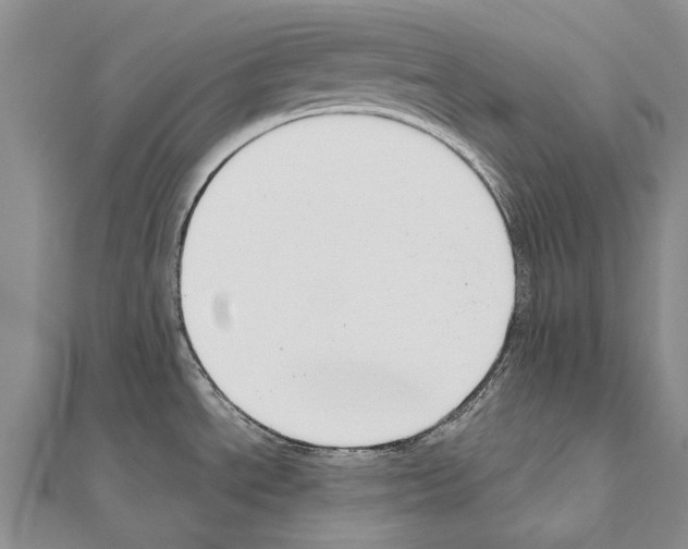 X0000111041534200908061446