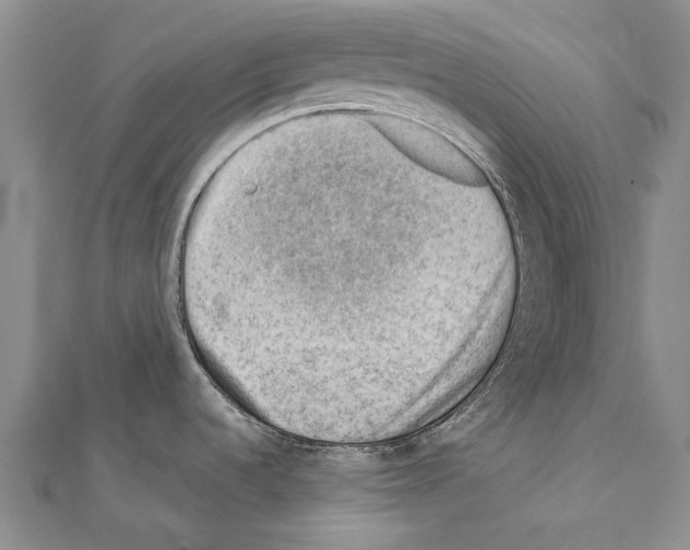 X0000111041536200908061446