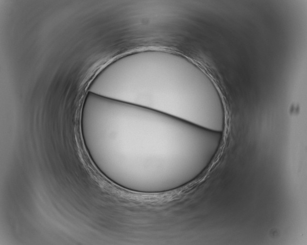 X0000111050001200906251131