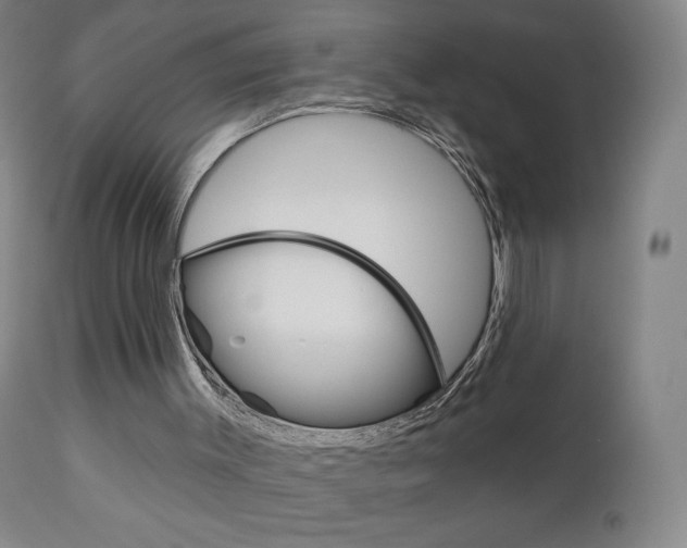 X0000111050003200906251131