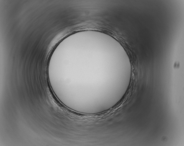 X0000111050004200906251131