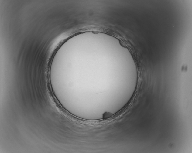 X0000111050006200906251131