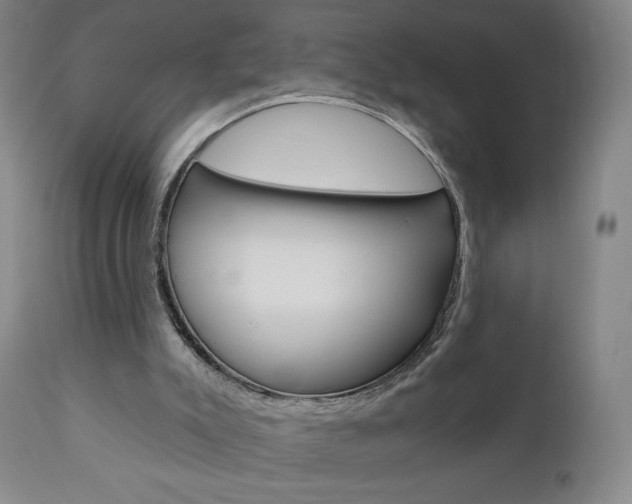 X0000111050007200906251131