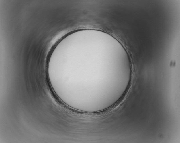 X0000111050008200906251131