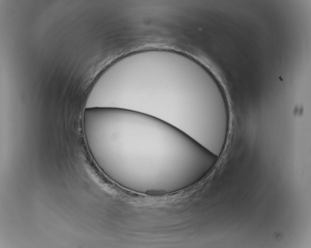 X0000111050009200906251131
