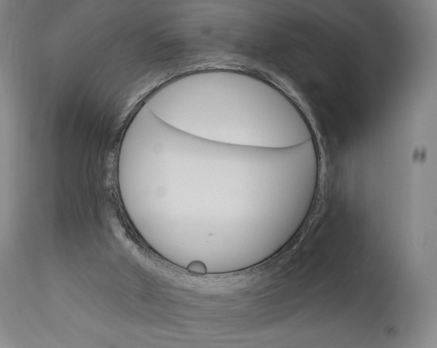 X0000111050010200906251131