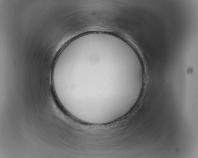 X0000111050011200906251131