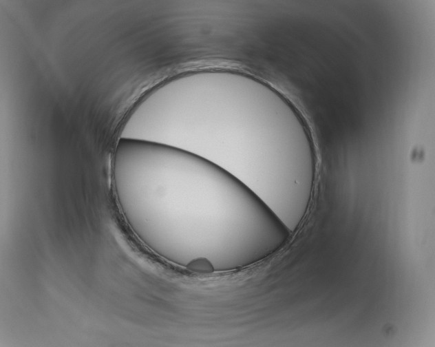 X0000111050013200906251131