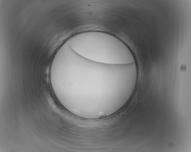 X0000111050014200906251131