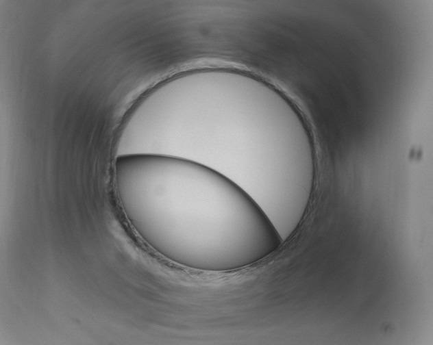 X0000111050015200906251131