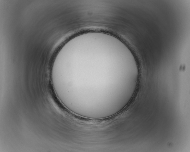 X0000111050016200906251131