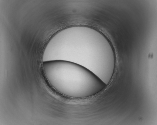 X0000111050017200906251131