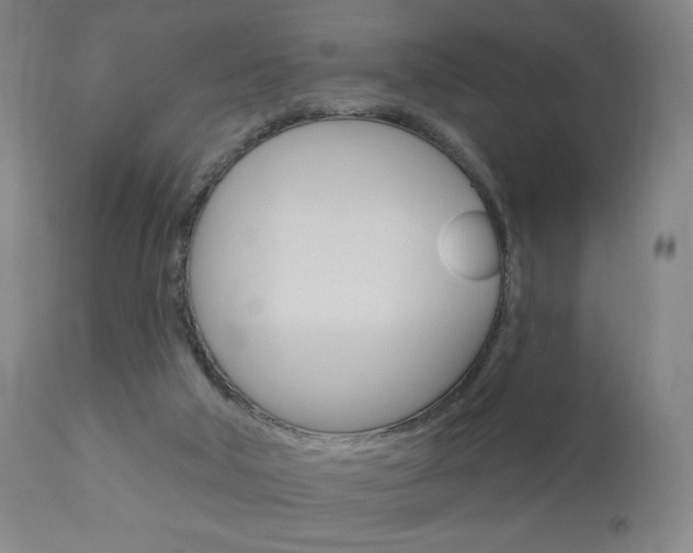 X0000111050018200906251131