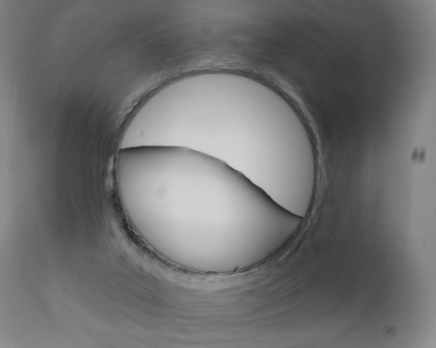 X0000111050019200906251131
