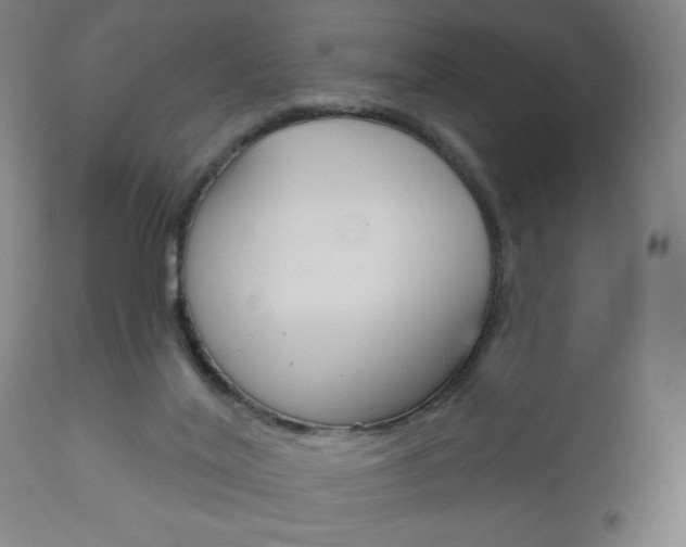 X0000111050020200906251131