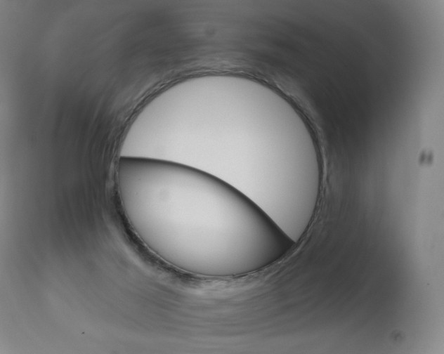 X0000111050021200906251131