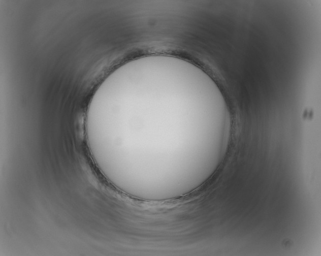 X0000111050022200906251131