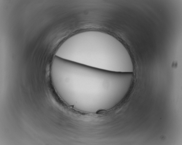 X0000111050024200906251131