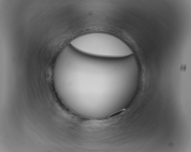 X0000111050025200906251131