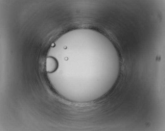 X0000111050026200906251131