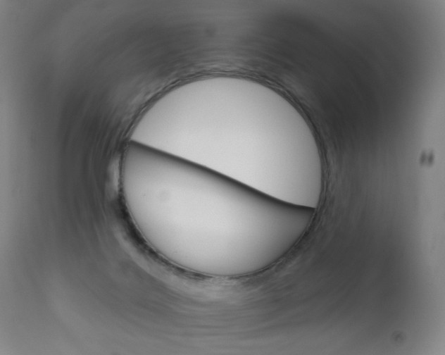 X0000111050028200906251131