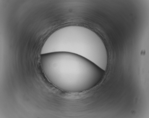 X0000111050029200906251131