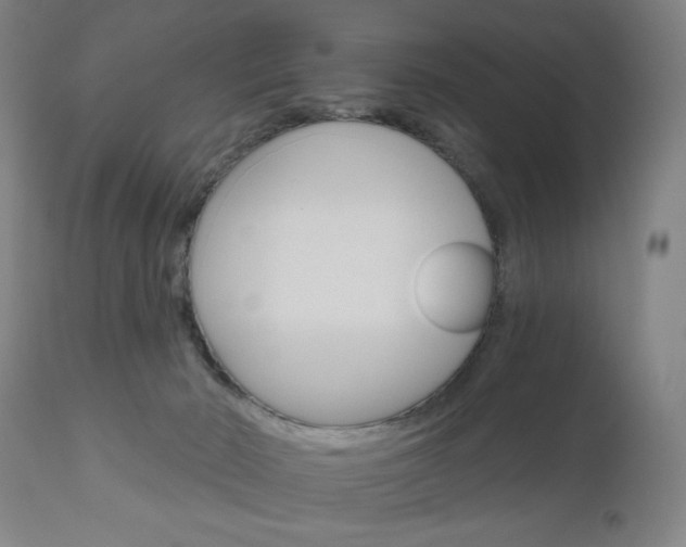 X0000111050030200906251131
