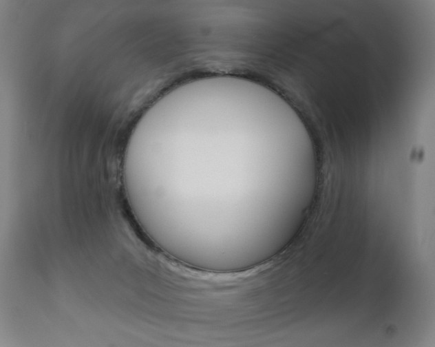 X0000111050031200906251131