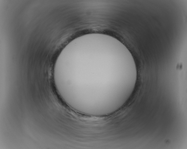 X0000111050032200906251130