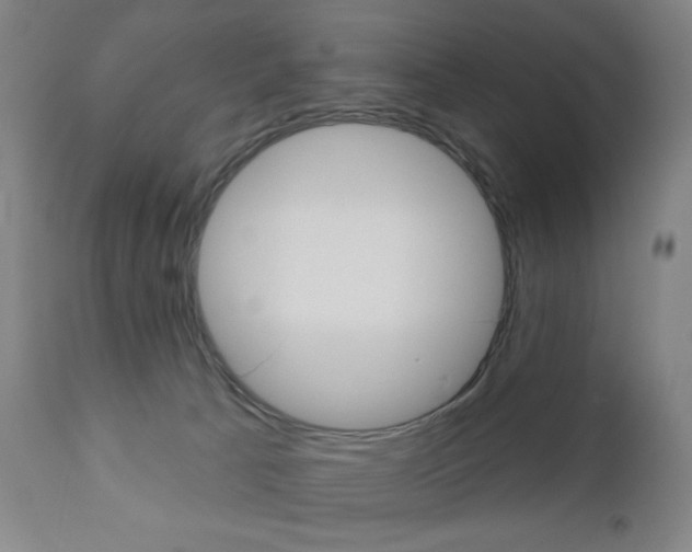 X0000111050033200906251130