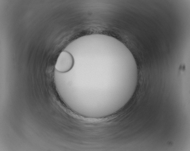 X0000111050034200906251130