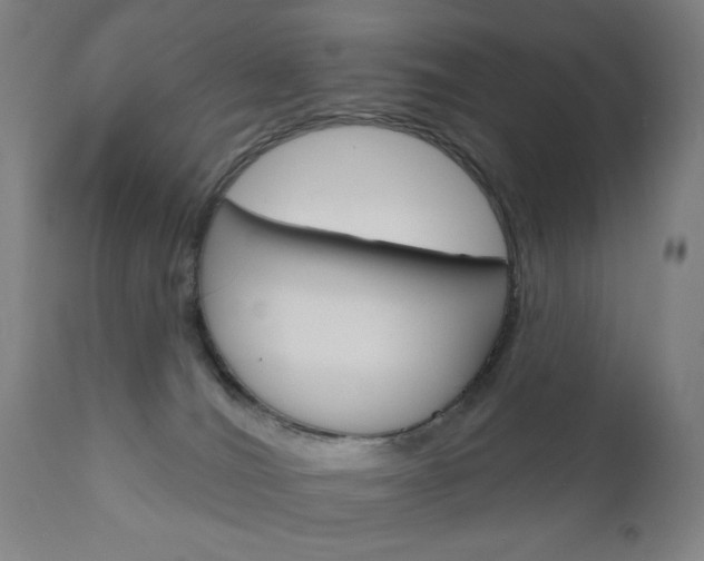 X0000111050036200906251130