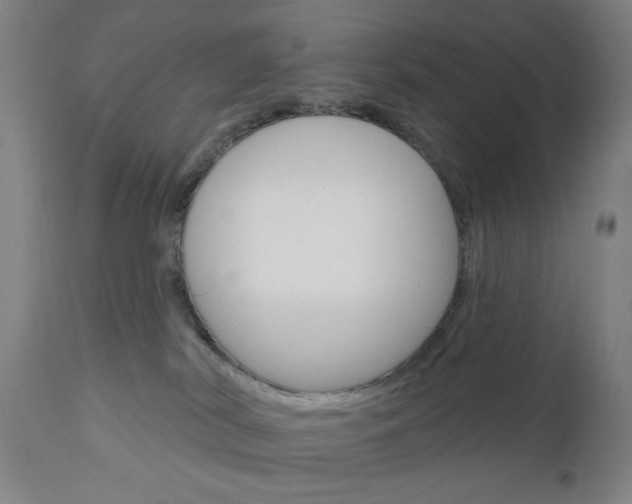 X0000111050038200906251130