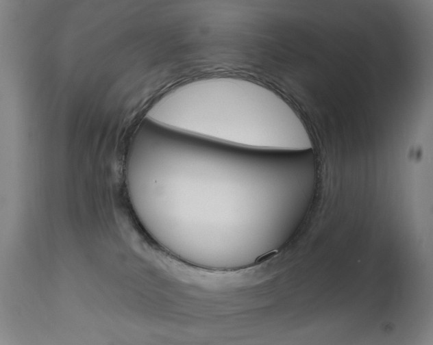 X0000111050039200906251130