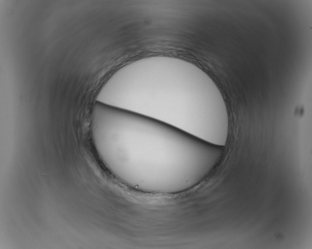 X0000111050040200906251130