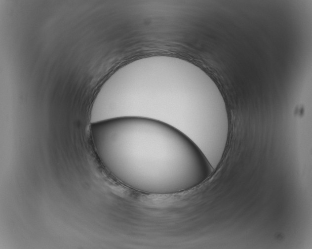 X0000111050041200906251130