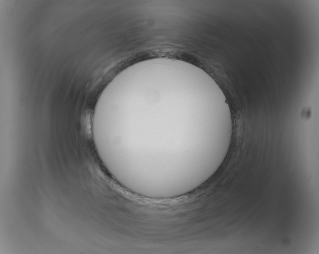 X0000111050042200906251130