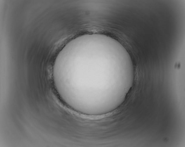 X0000111050043200906251130