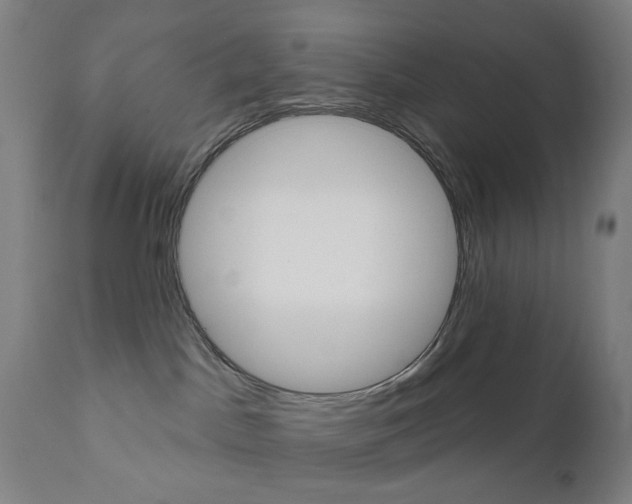 X0000111050045200906251130