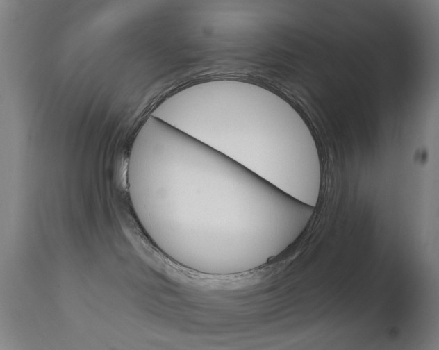 X0000111050046200906251130