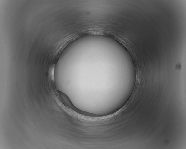 X0000111050047200906251130