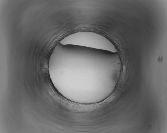 X0000111050048200906251130