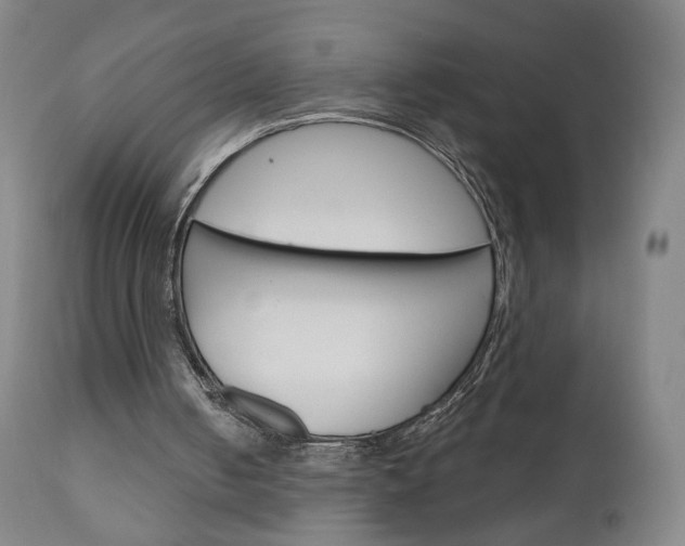 X0000111050050200906251129