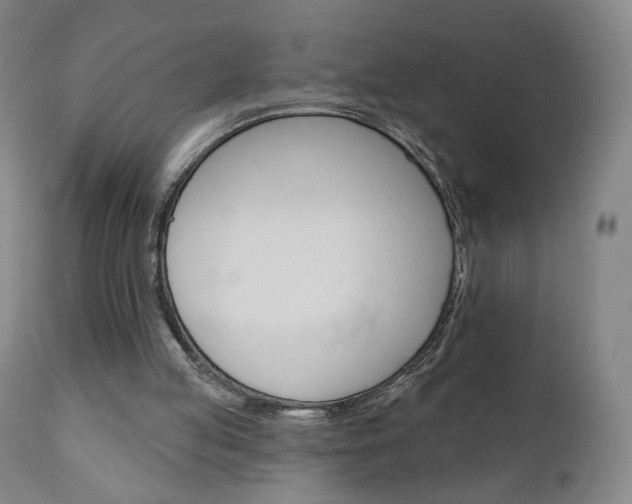 X0000111050053200906251129