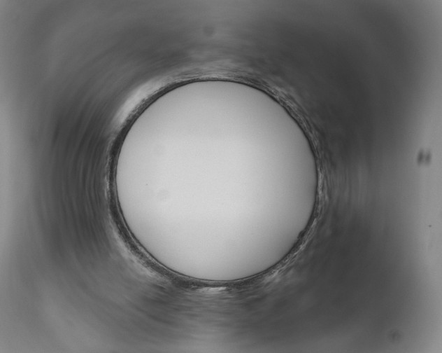 X0000111050054200906251129