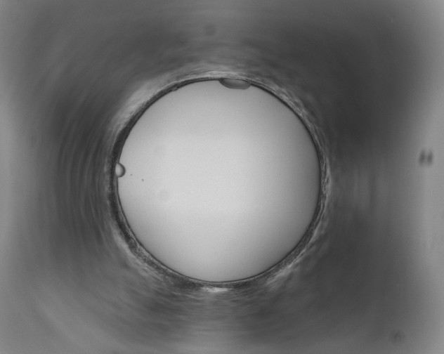 X0000111050055200906251129