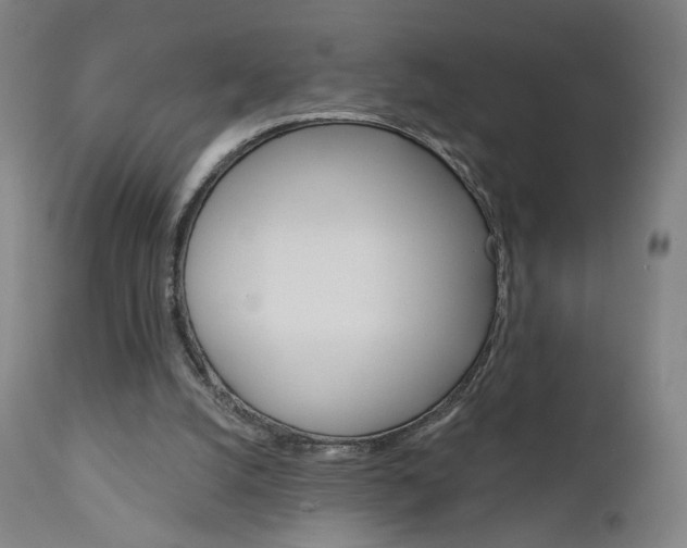 X0000111050056200906251129