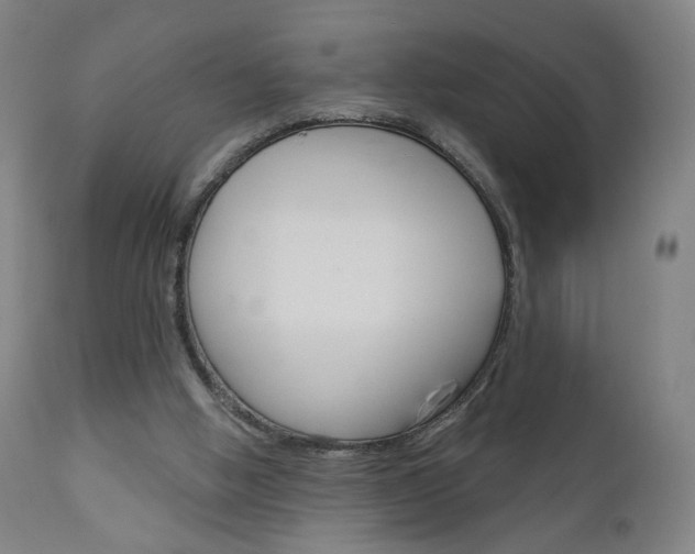 X0000111050058200906251129