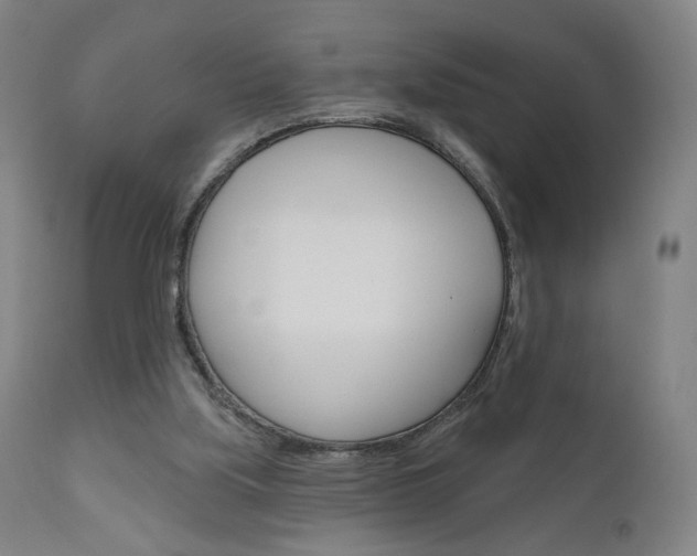 X0000111050059200906251129