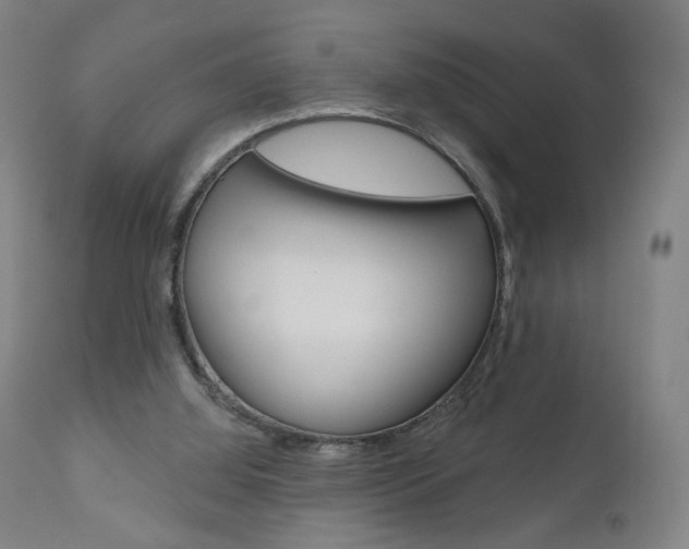 X0000111050060200906251129